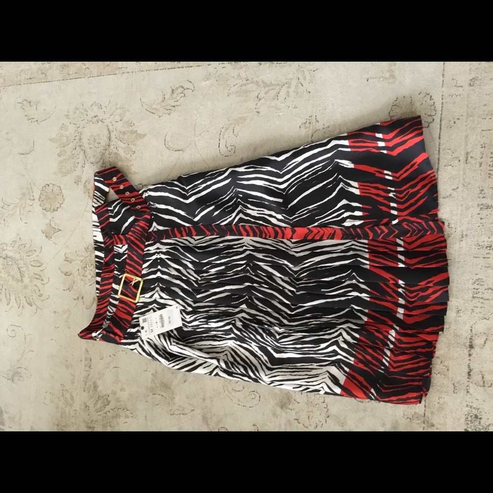 Zara,  ew skirt.